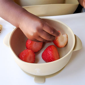 Silicone Bowl // Boti Falls - The Rooted Baby Co.